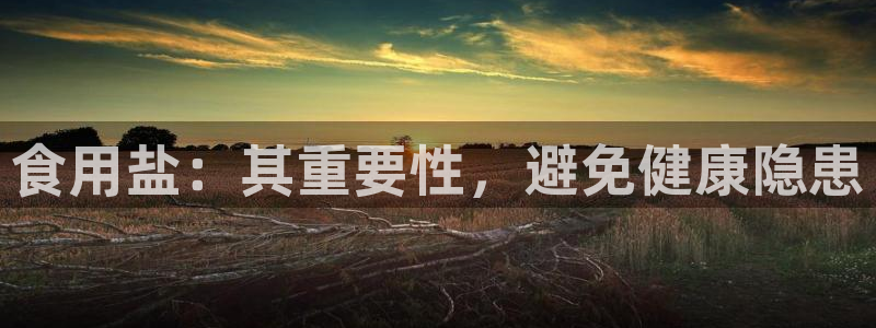 威九国际