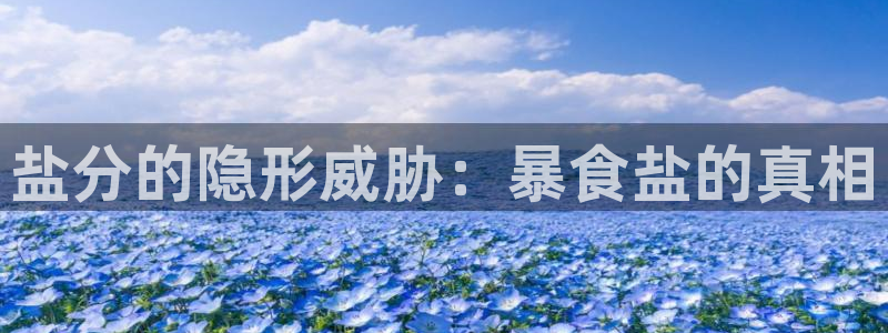 威九国际电视