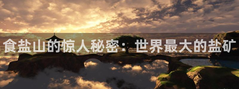 保定威九网络科技有限公司怎么样