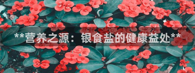 威九国际网站入口地址