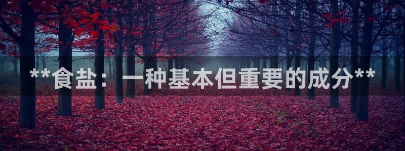 威九国际正规吗