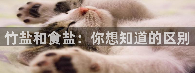 威九国际软件公司简介