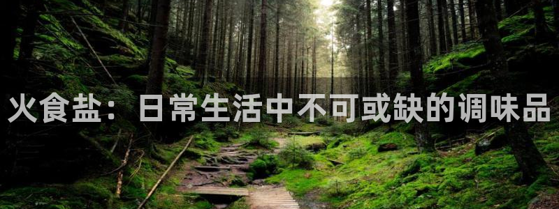 威九国际清砖码头怎么样
