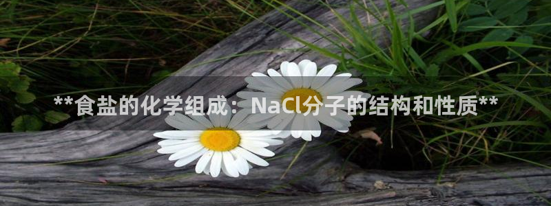 威九国际软件公司简介