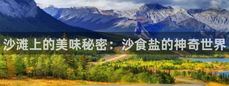 威九国际集团66m一6