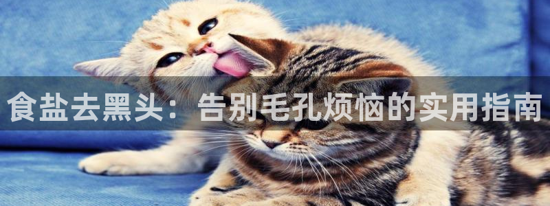 威九国际X8