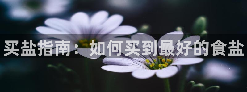 威九国际宣传片