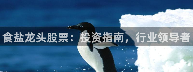 威九国际ppt免费下载