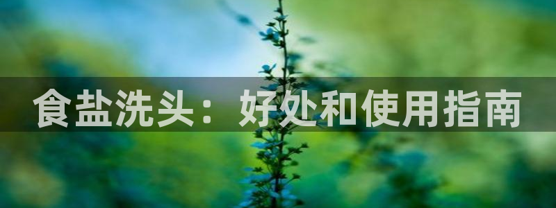 威九国际78免下载