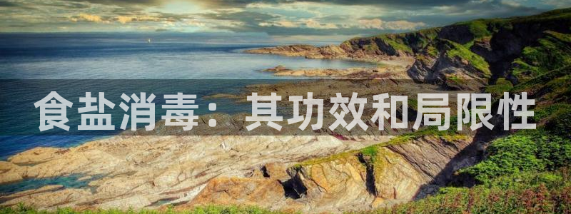 威九国际女主角