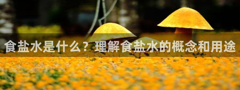 威九国际78ma