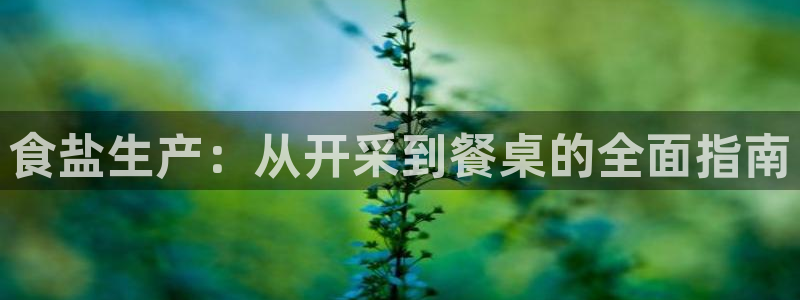 威九国际热舞