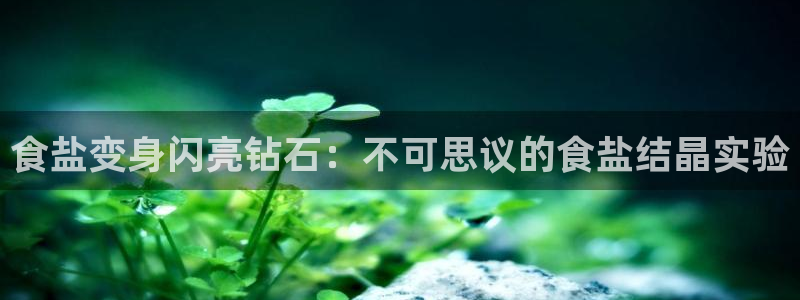 威九国际网站入口官网首页下载