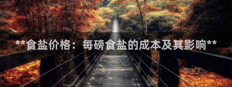 威九国际在哪里