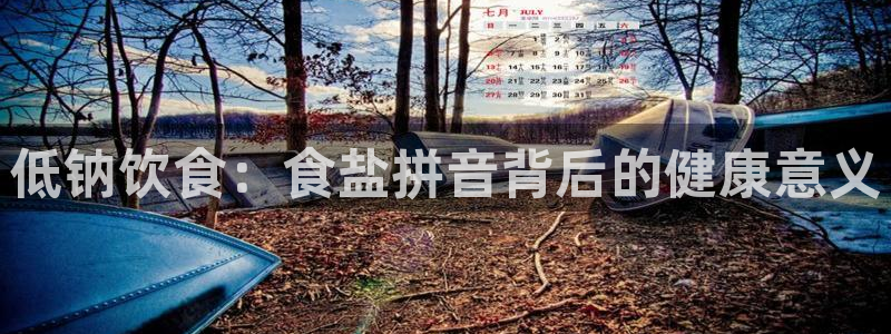 78mapp威九国际官网版