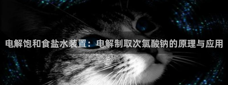 威九国际旗下艺人有谁