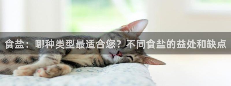 威九国际里的长头发帅哥名字
