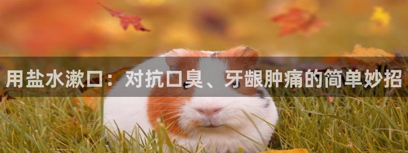 威九国际男主