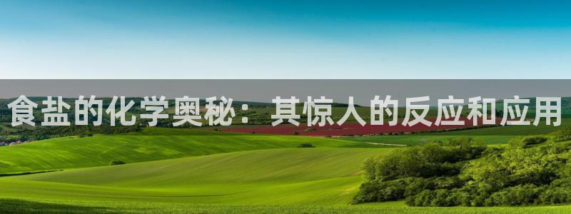 威九国际新