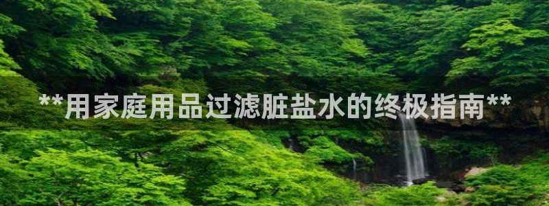 威九国际app