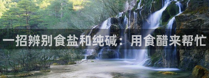 78mapp威九国际媒体央视