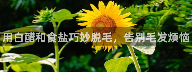 威九国际网站入口rdquo