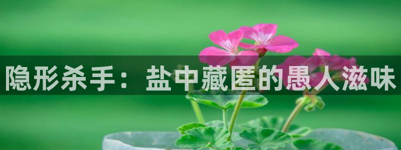 威九国际女神