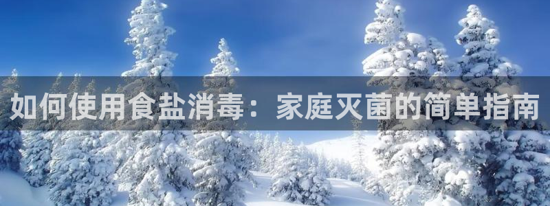 威九国际网站入口官网游戏推荐