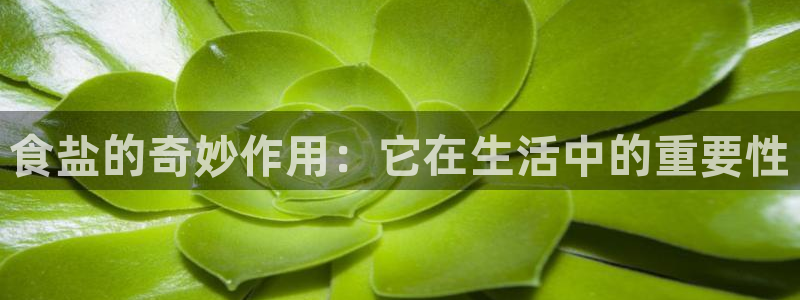 威九国际犯法吗