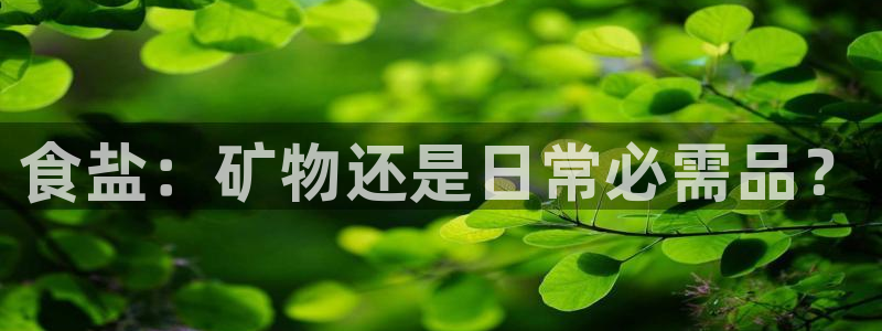 威九国际网站传媒
