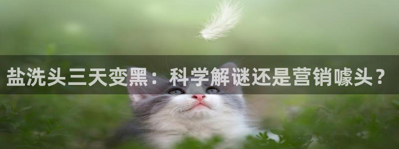 威九国际游戏