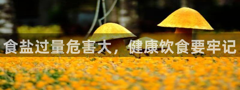 威九国际66m入口