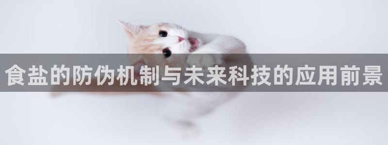 威九国际网站入口rdquo