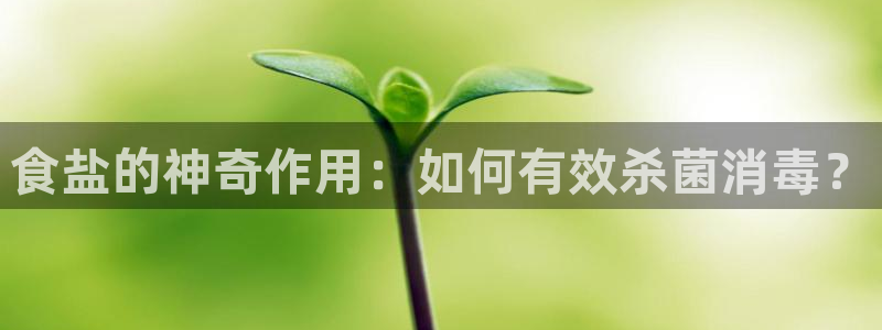 威九国际客服电话号码是多少