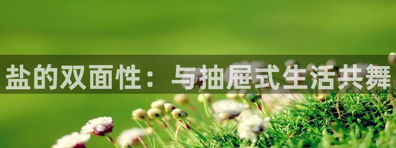 威九国际w98