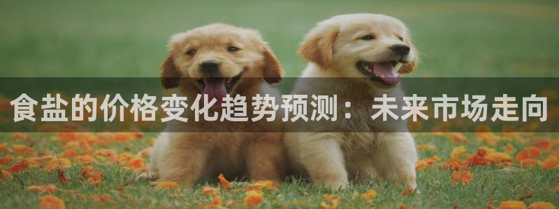 威九国际新