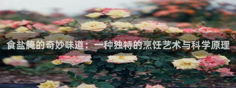 威九国际网站经常打不开网页