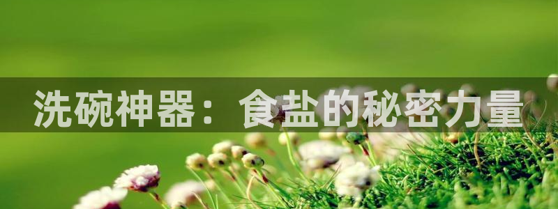 威九国际官网版下载