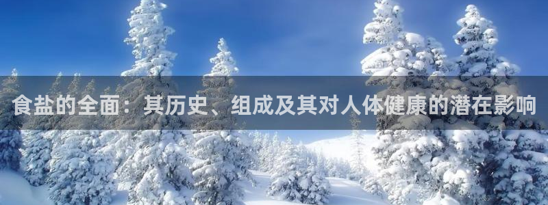威九国际惠子