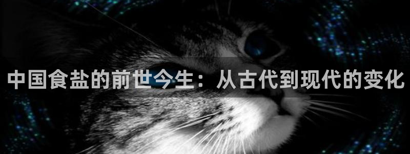 威九国际正规吗