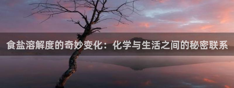 威九国际APP