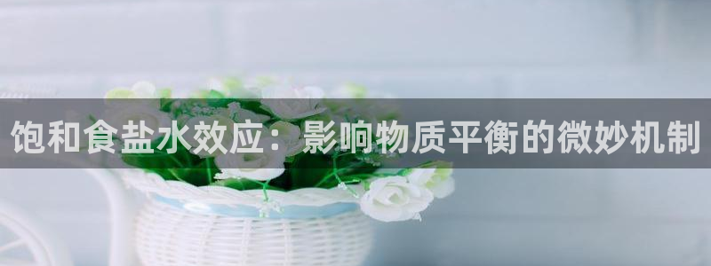 威九国际78M.APP