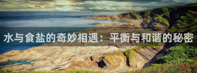 威九国际免费ppt网址：水与食盐的奇妙相遇：平衡与和谐的秘密
