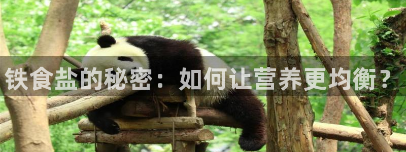 威九国际成长模式怎么样