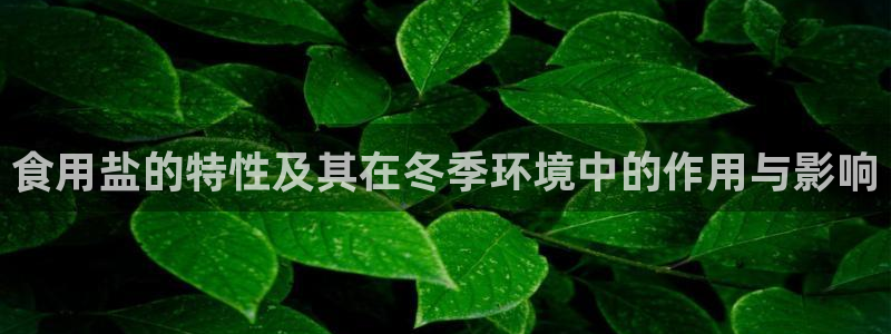 威九国际78mb特点