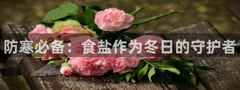 78mppt威九国际：防寒必备：食盐作为冬日的守护者