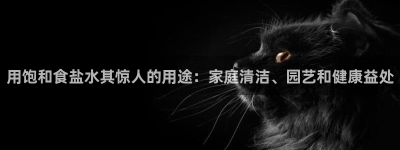 威九国际演员表