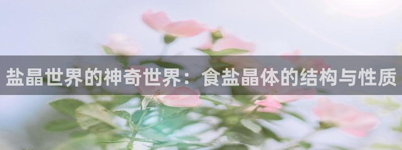 威九国际坑人的嘛：盐晶世界的神奇世界：食盐晶体的结构与性质