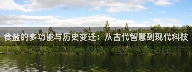 威九国际合作伙伴有哪些