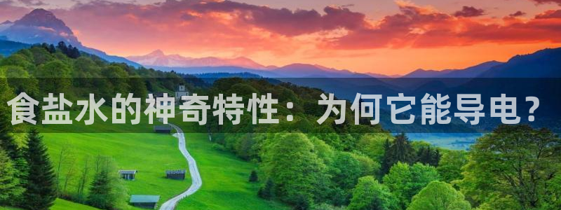 威九国际官方网站